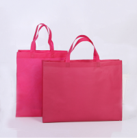 EPB003  Design non-woven bag Customized green tote bag Supply green bag Eco bag manufacturer Eco bag price side view